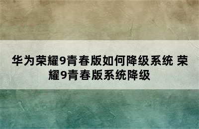 华为荣耀9青春版如何降级系统 荣耀9青春版系统降级